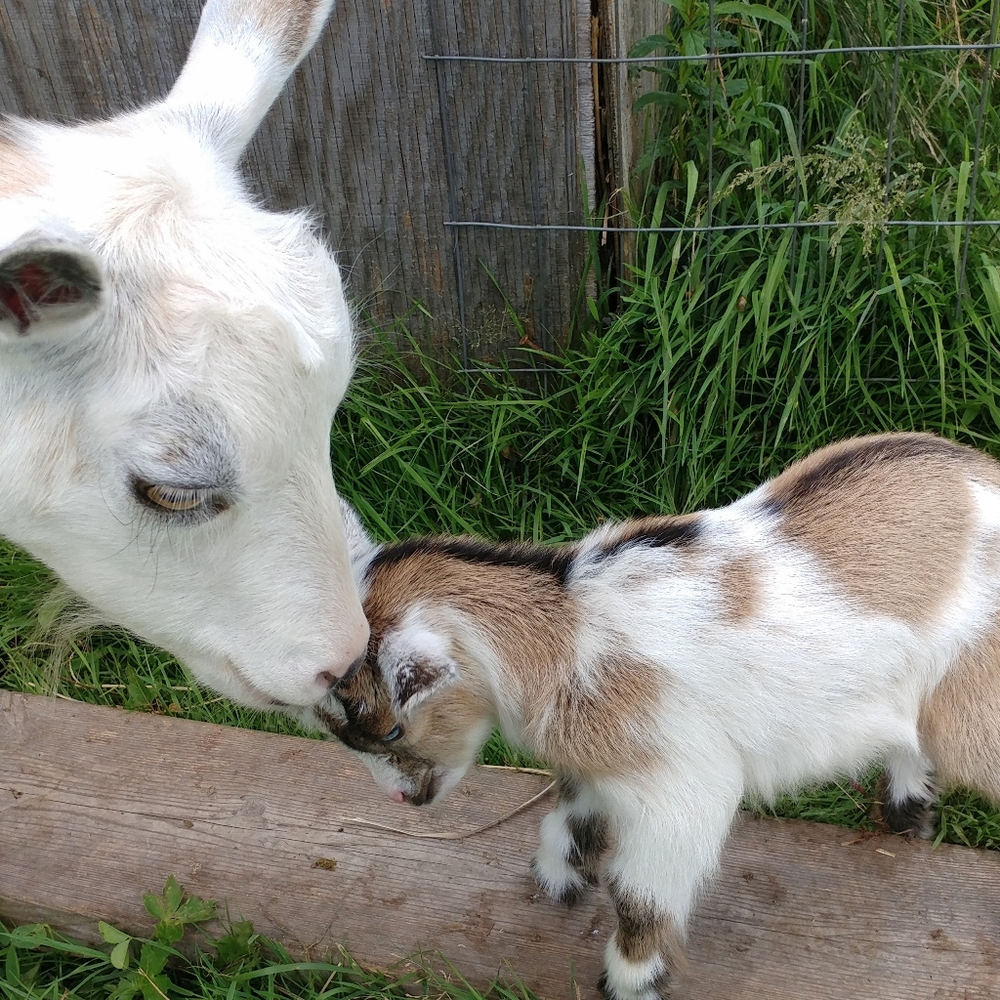 MEET MY KIDS! - Picture 8 of 10